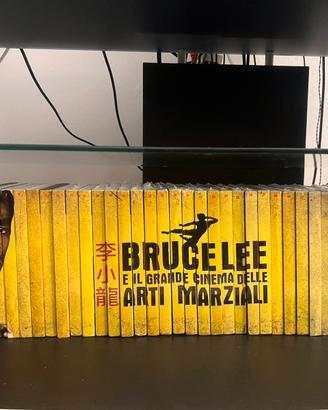 Collezione completa 40 DVD Bruce Lee