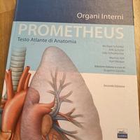 Prometheus Organi Interni 