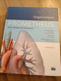 Prometheus Organi Interni 