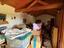 Immagine 19