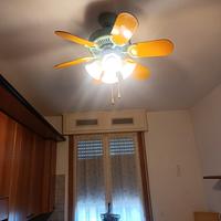 lampadario/pala da soffitto 
