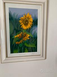 Quadri " girasoli" e "Rosa" di Franco Aloisi