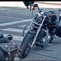 Unica nel suo genere