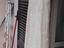 Immagine 4