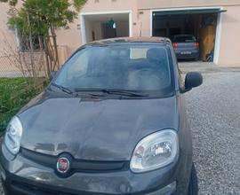 FIAT Panda 3ª serie - 2018 1200 benzina km 22.000