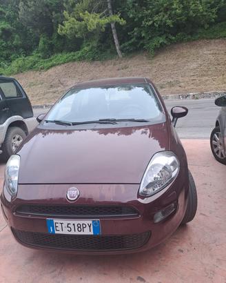 Fiat Punto Street