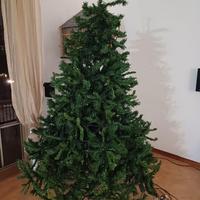Albero di natale