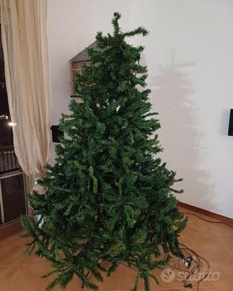 Albero di natale