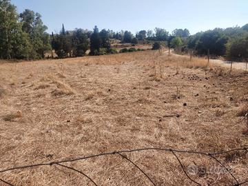 Terreno agricolo 