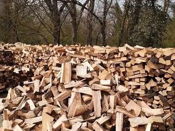 Legna secca per provvista