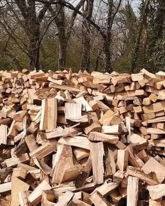 Legna secca per provvista