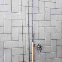 canna da pesca feeder 