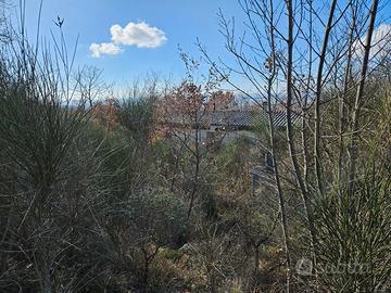 Terreno con prefabbricato uso attrezzi