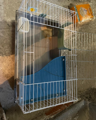 Gabbietta per coniglio nano/criceto