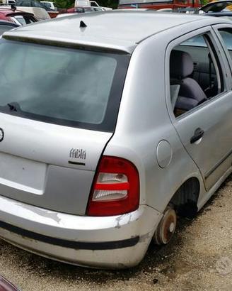 Ricambi Skoda Fabia