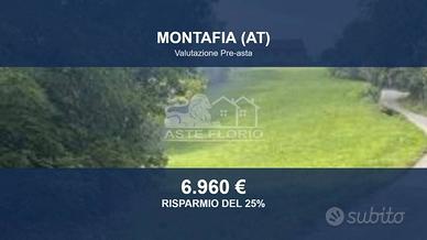 Immobile in asta di 10942 m² a Montafia