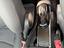 Immagine 15