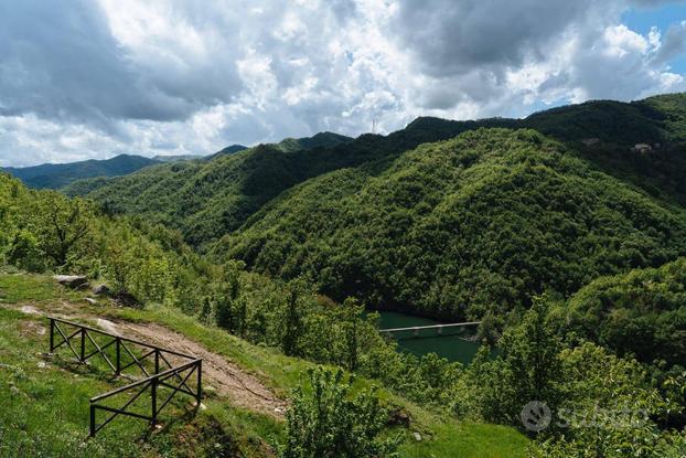 Attività commerciale - Valle Castellana