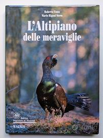 L'Altipiano Delle Meraviglie - Costa, Rigoni Stern