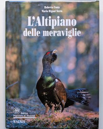 L'Altipiano Delle Meraviglie - Costa, Rigoni Stern