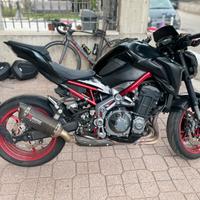 Kawasaki Z900 Performance 2019