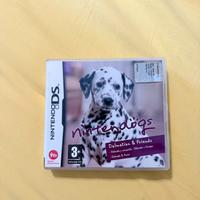 Gioco nintendo ds