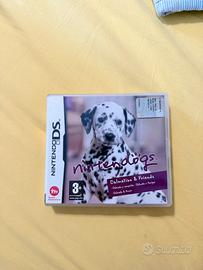Gioco nintendo ds