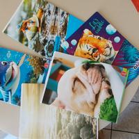 Quaderni righe elementari e  timbrini