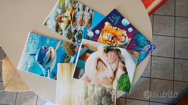 Quaderni righe elementari e  timbrini