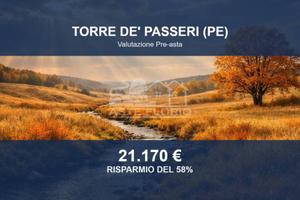 Immobile in asta di 33470 m² a Torre de' Passeri
