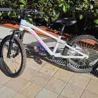 Mountain bike da bambino