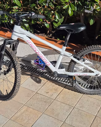 Mountain bike da bambino