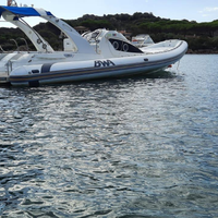 BWA 10 metri Mercruiser 377 piede bravo 1 480 ore