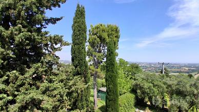 Appartamento a Jesi