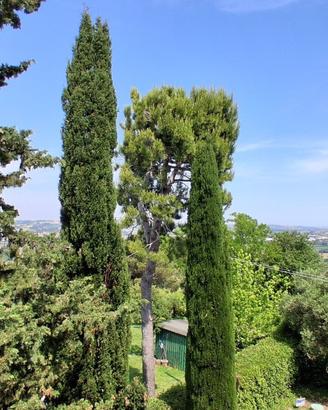 Appartamento a Jesi