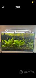 Acquario 250 litri