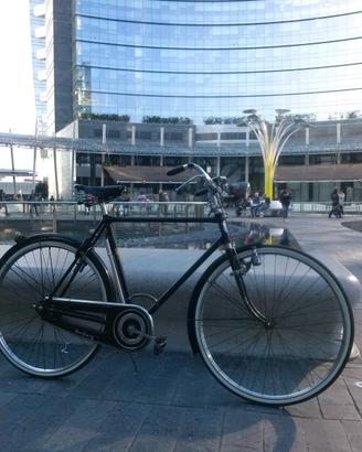 Bicicletta Bianchi Zaffiro 