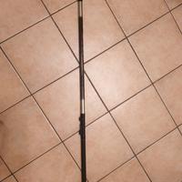 canna da pesca bolognese telescopica
