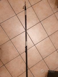 canna da pesca bolognese telescopica