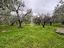 Immagine 25