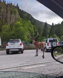 PASQUA IN MONTAGNA DA 4 a 12 posti letto