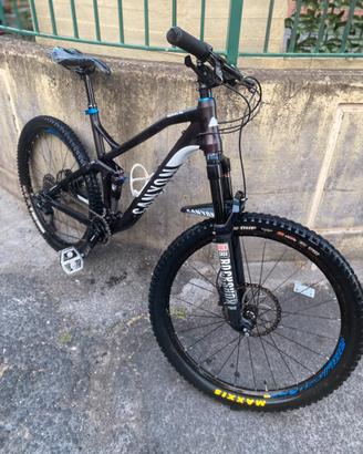 Canyon Nerve AL