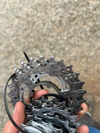 Pacco pignoni campagnolo 11v