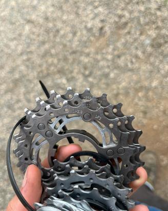 Pacco pignoni campagnolo 11v