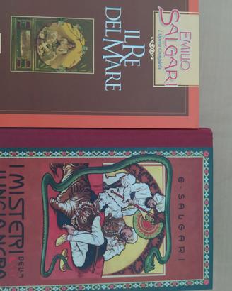 libri sandokan la tigre della malesia di salgari