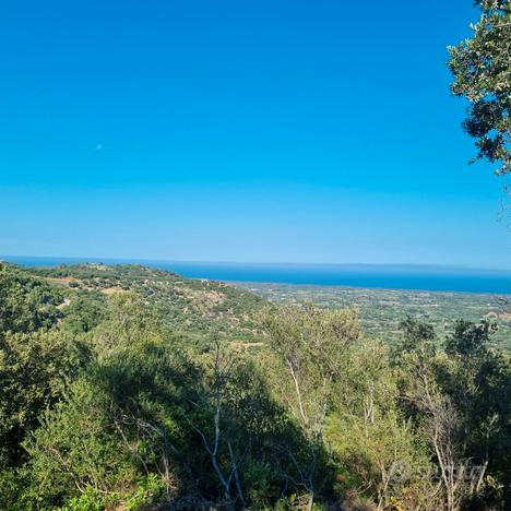 Fondo agricolo in agro di Lanusei zona Taccu