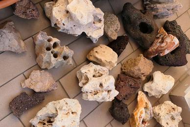 Rocce per acquario acqua dolce