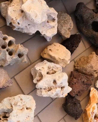 Rocce per acquario acqua dolce