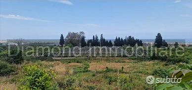 Terreno con rustico e serre a Mascali