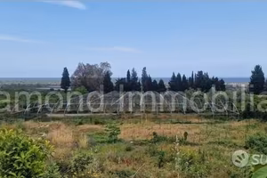 Terreno con rustico e serre a Mascali